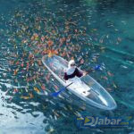 Cipanten Lake: The Ultimate Hidden Gem You Must Visit in West Java, Indonesia