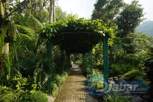 Sarga Earthing Resort Cianjur Punya Spot Jepang Hingga Indian yang Bikin Feed Instagram Meledak