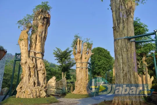 Sarga Earthing Resort Cianjur Punya Spot Jepang Hingga Indian yang Bikin Feed Instagram Meledak