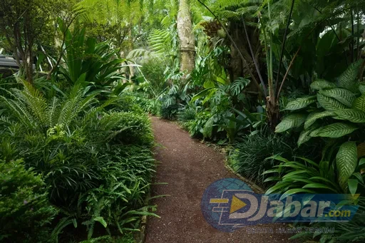 Sarga Earthing Resort Cianjur Punya Spot Jepang Hingga Indian yang Bikin Feed Instagram Meledak
