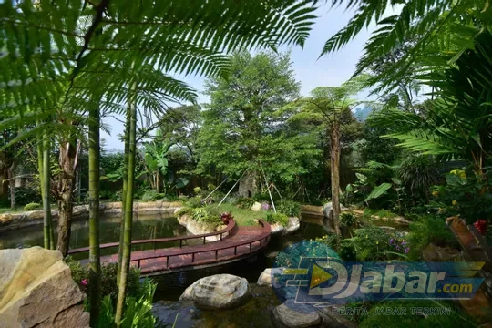 Sarga Earthing Resort Cianjur Punya Spot Jepang Hingga Indian yang Bikin Feed Instagram Meledak