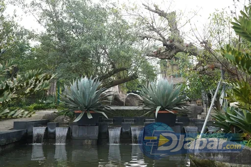 Sarga Earthing Resort Cianjur Punya Spot Jepang Hingga Indian yang Bikin Feed Instagram Meledak