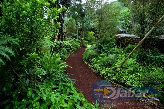 Sarga Earthing Resort Cianjur Punya Spot Jepang Hingga Indian yang Bikin Feed Instagram Meledak