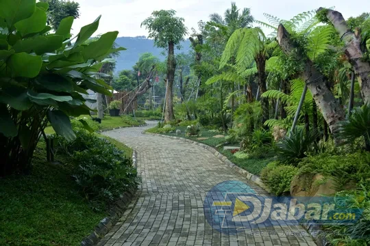 Sarga Earthing Resort Cianjur Punya Spot Jepang Hingga Indian yang Bikin Feed Instagram Meledak